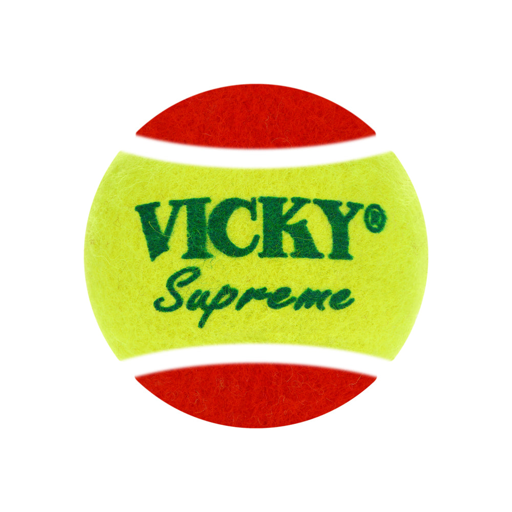 Cricket Tennis Ball Heavy