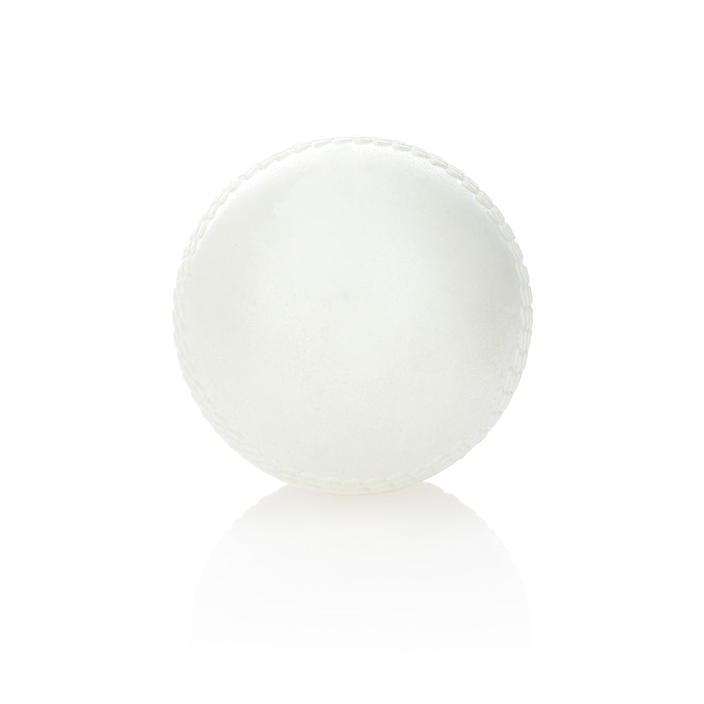 Hockey Ball - Training