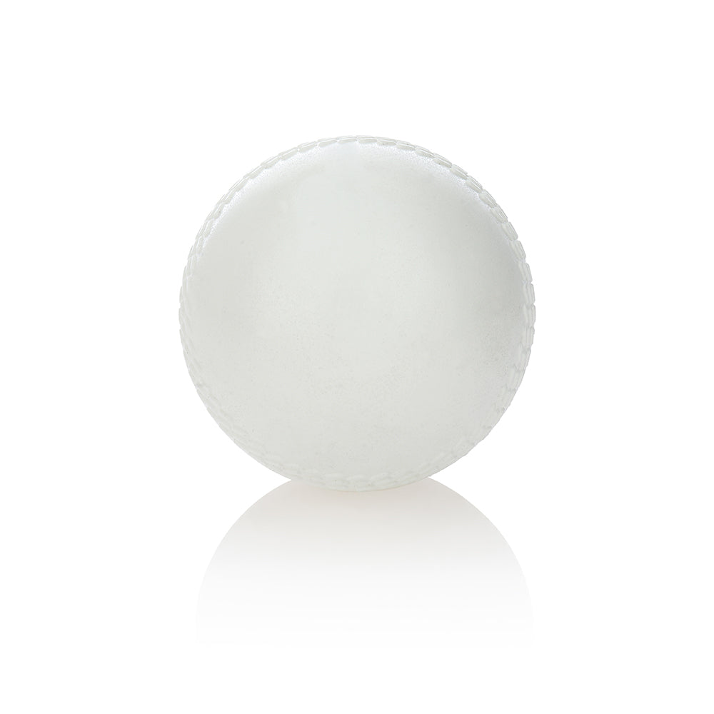 Cricket Ball - Training