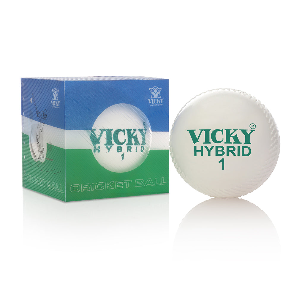 Cricket Ball - Training