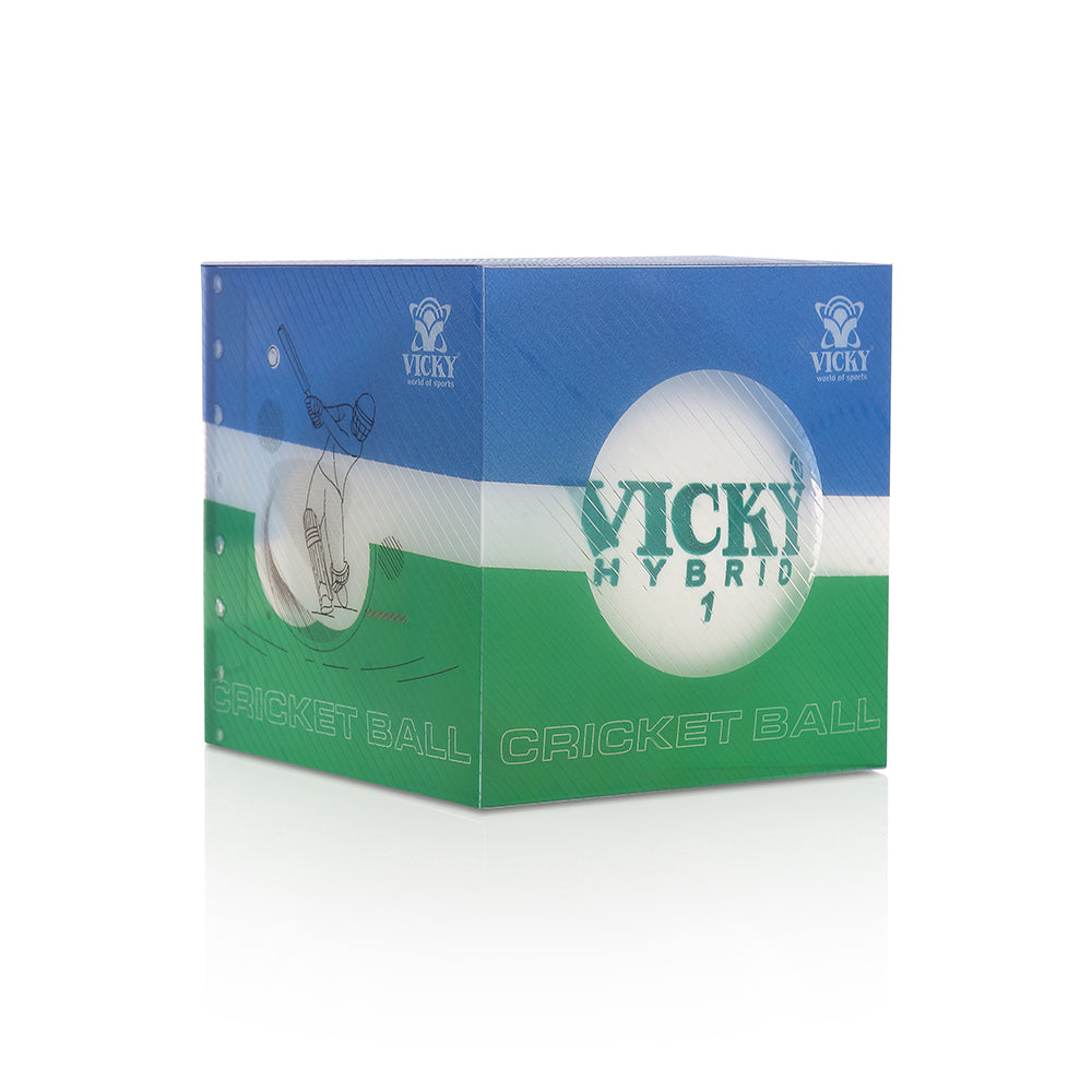 Cricket Ball - Training