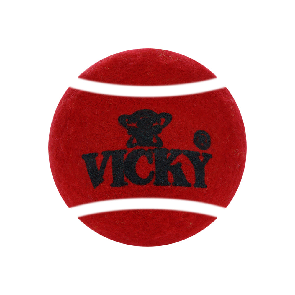 Cricket Tennis Ball Heavy Maroon