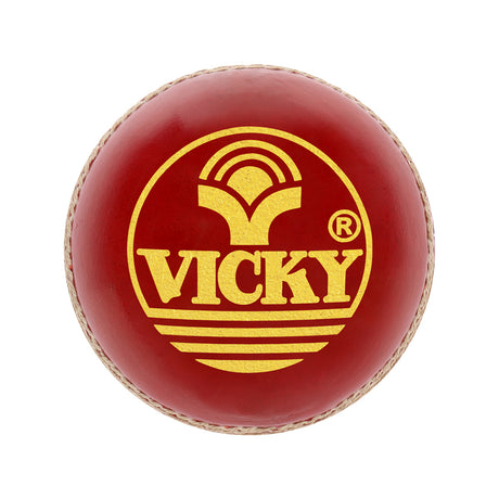 Cricket Leather Ball Red