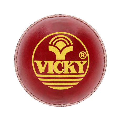 Soyuz Cricket Leather Ball