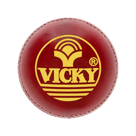 Vicky Jet Cricket Leather Ball