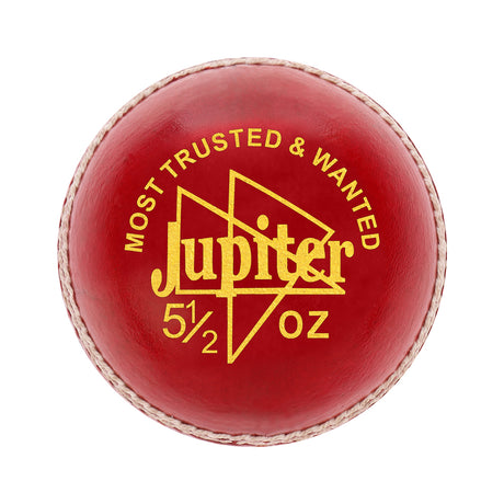 Vicky Jupiter Cricket Leather Ball