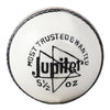 Leather Ball - White