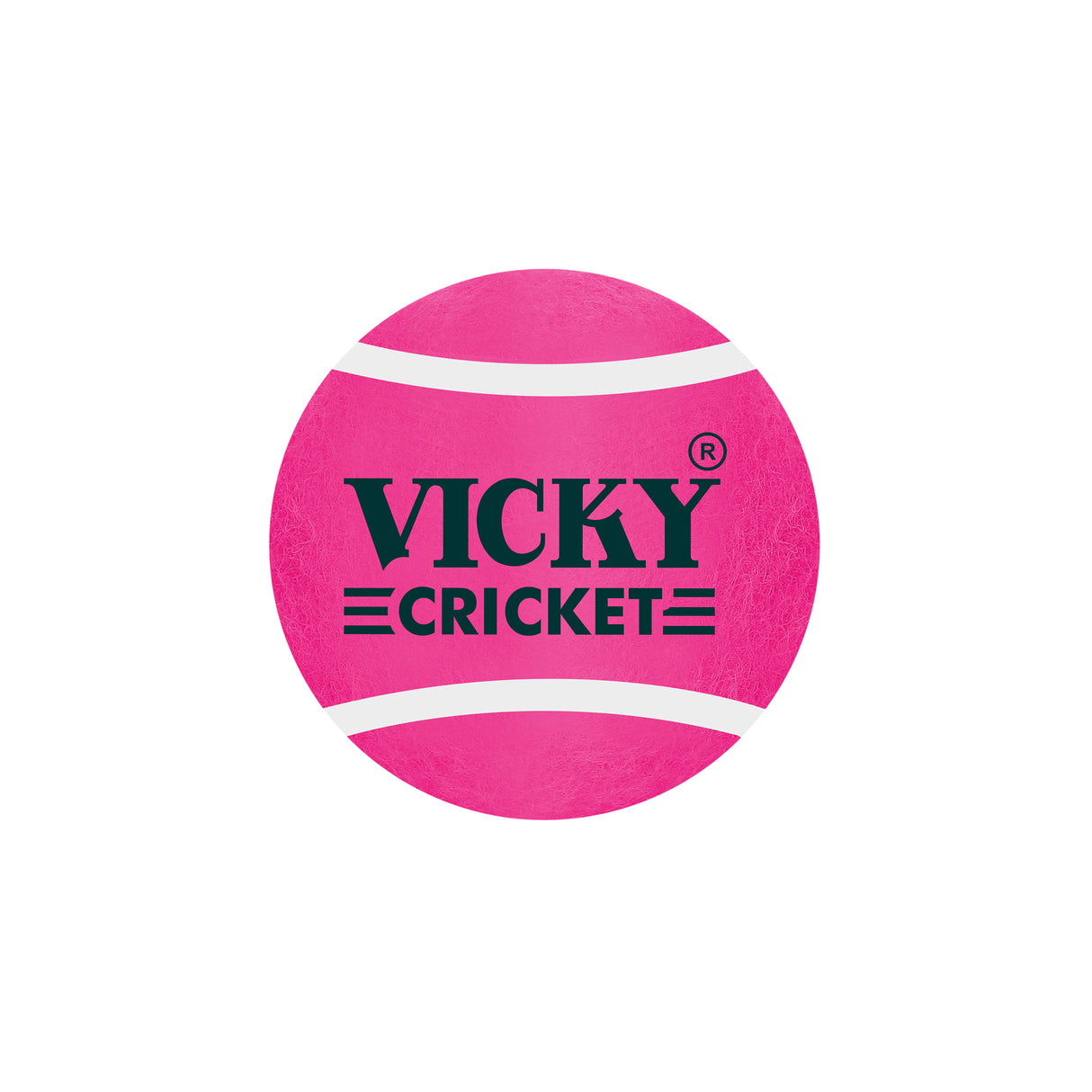 Vicky Cricket