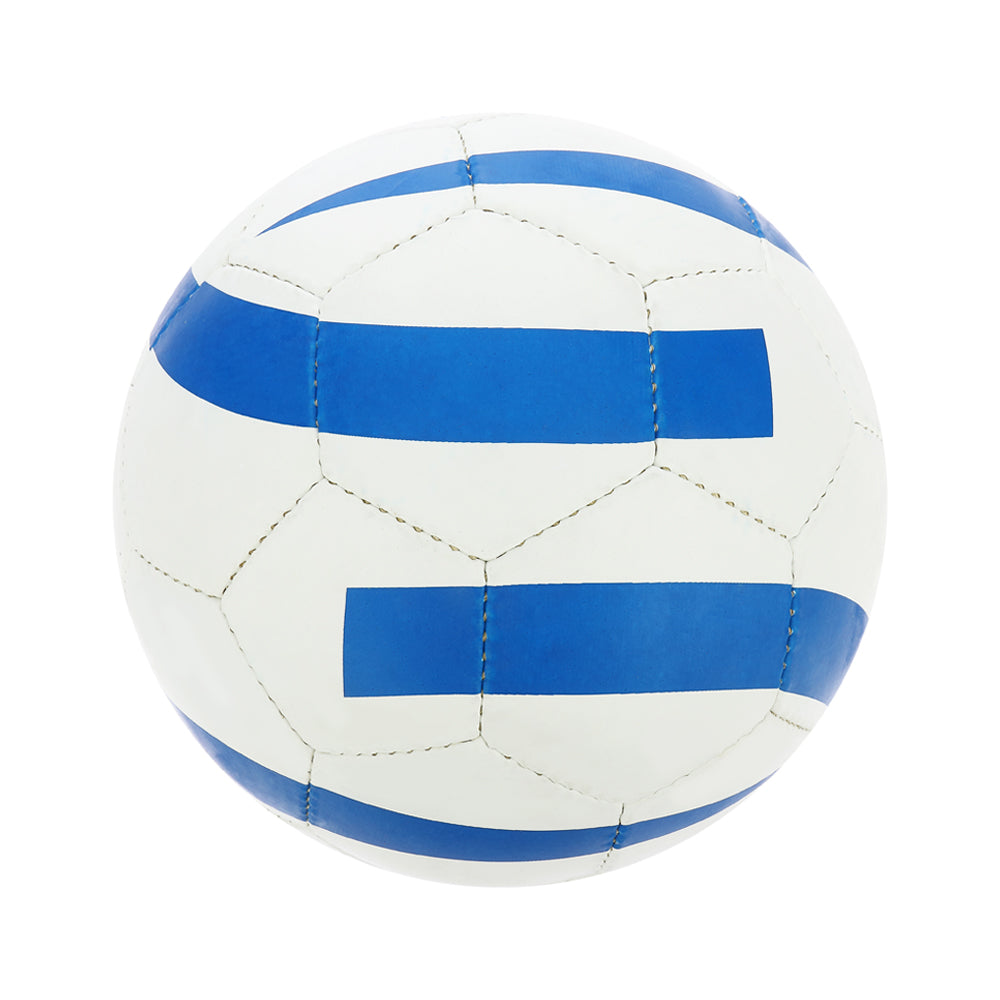 Volleyball - White-Blue