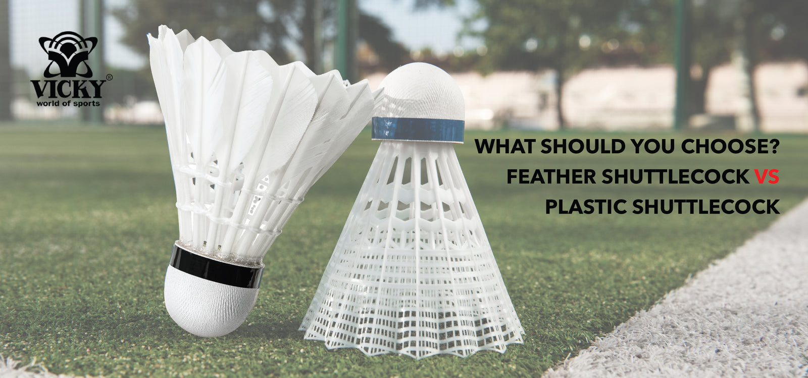 What should you choose between a Feather Shuttlecock or Plastic Shuttlecock?