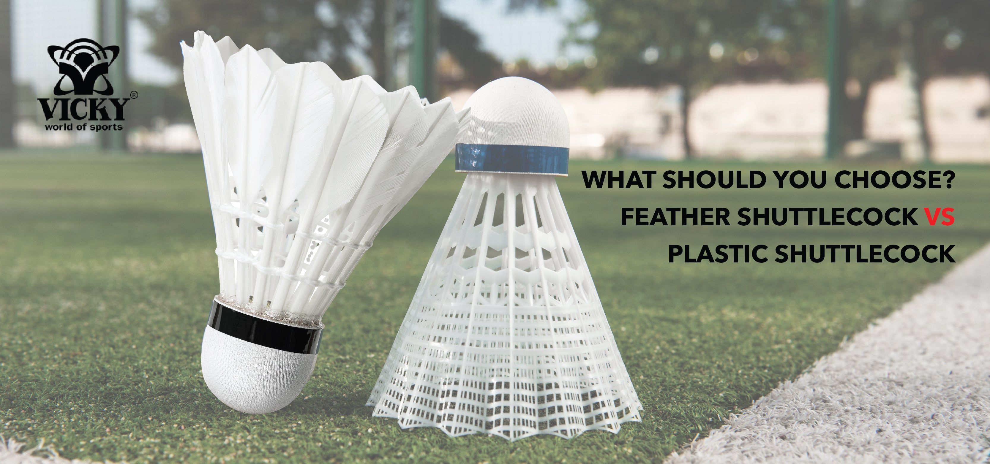 What should you choose between a Feather Shuttlecock or Plastic Shuttl –  Vicky Sports
