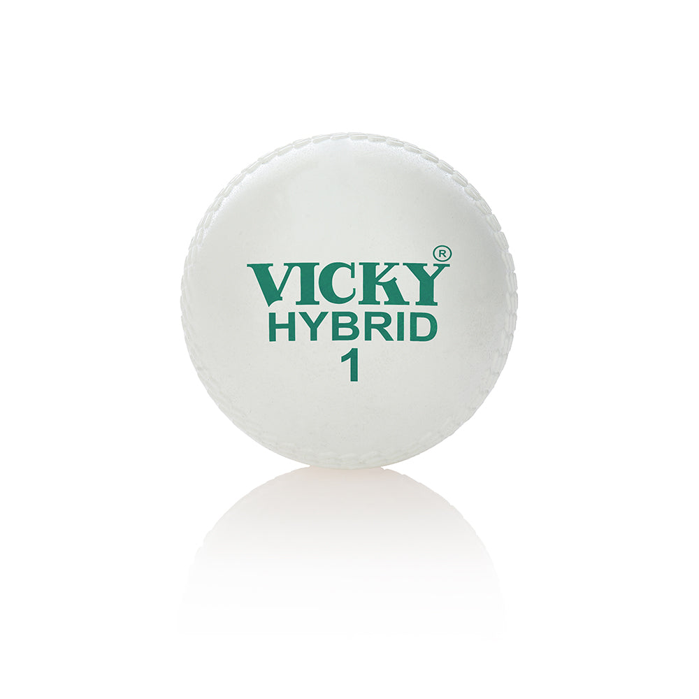 Cricket Ball - Training