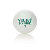 Cricket Ball - Training