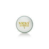 Stitch Cricket Ball - Soft Heavy