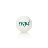 Gully Ball