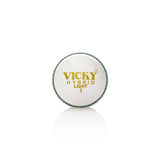 Stitch Cricket Ball - Soft Light