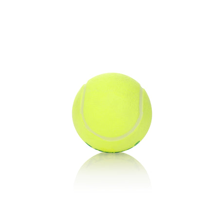 Colour  Tennis Bal L - Yellow