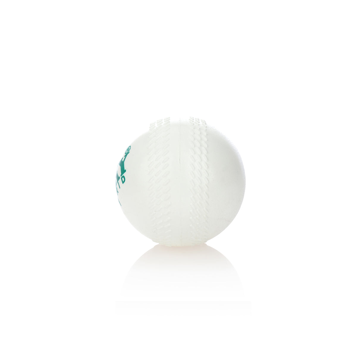 Cricket Ball - Training