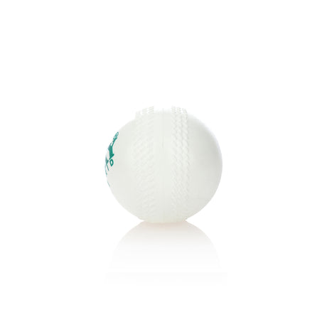 Cricket Ball - Training