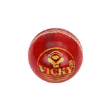Vicky - Googly