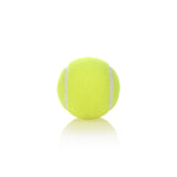 Lawn Tennis Ball