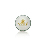 Stitch Cricket Ball - Soft Heavy