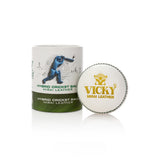 Mirai Cricket Ball