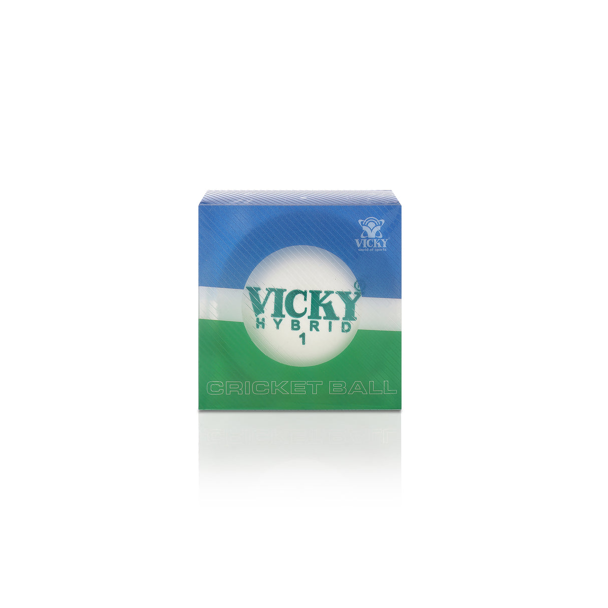 Cricket Ball - Training